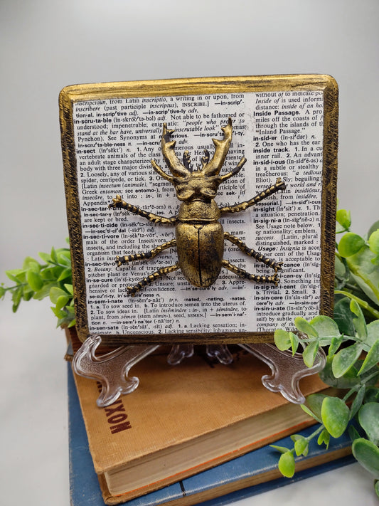 Faux Beetle on distressed wood  image 0