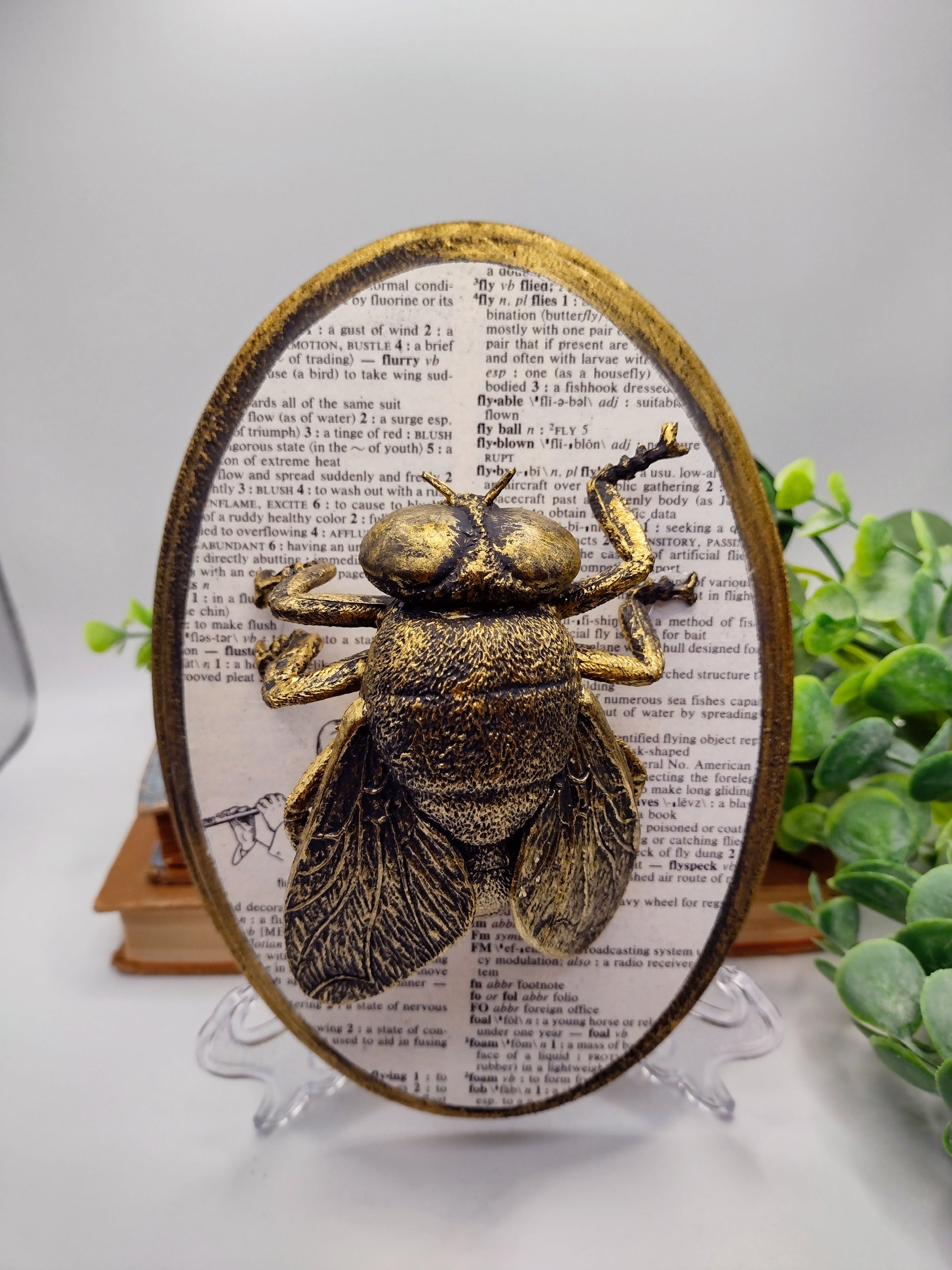 Faux Fly on distressed wood  image 0