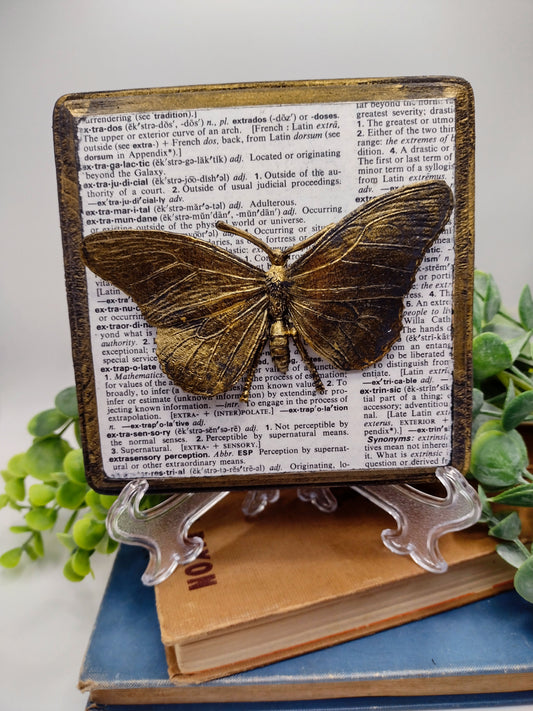 Faux Butterfly on distressed wood  image 0