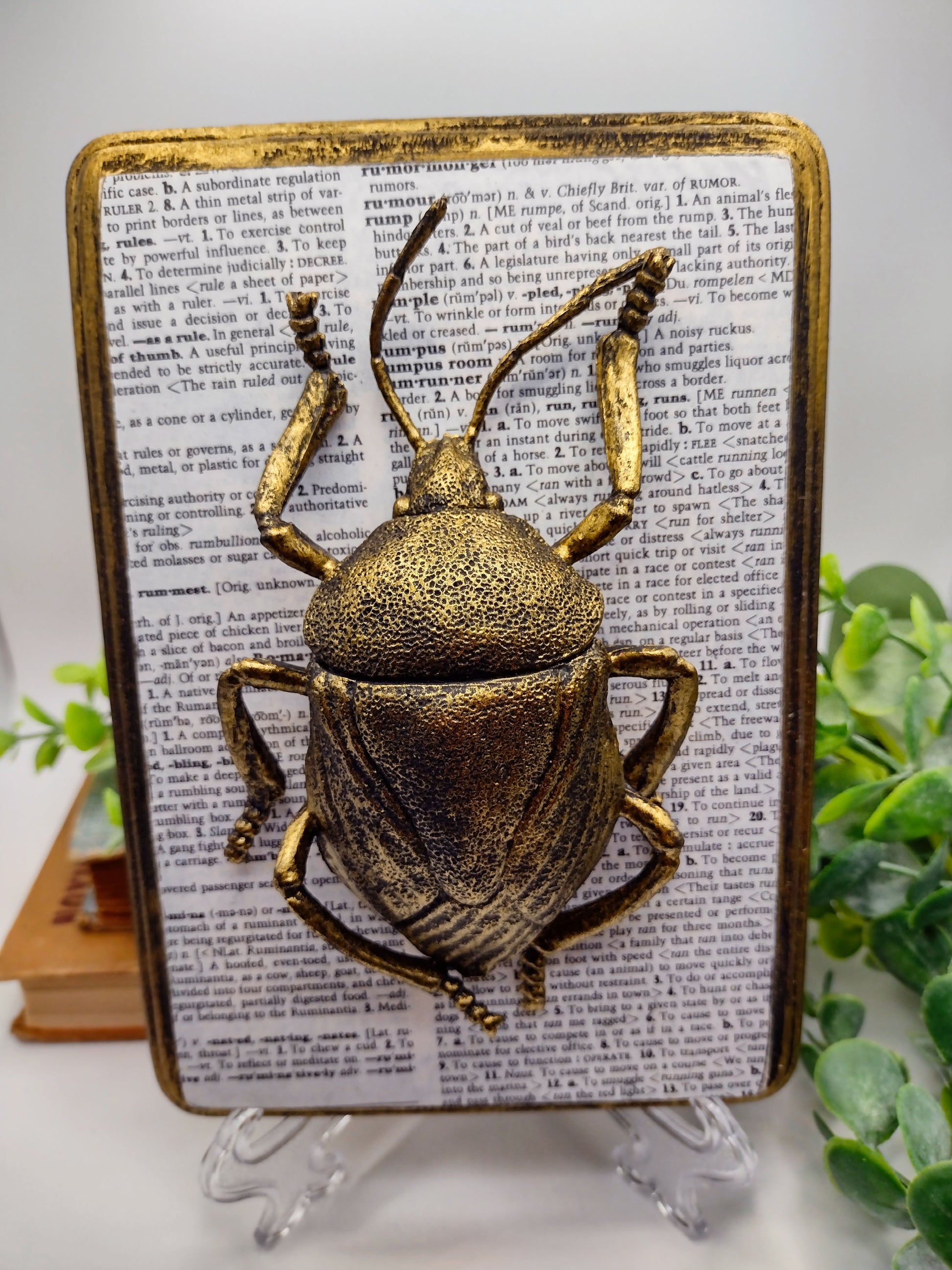 Faux Beetle on distressed wood  image 0