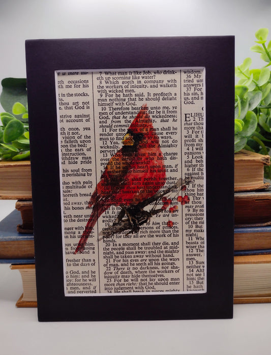 5" x 7" cardinal print on bible page image 0