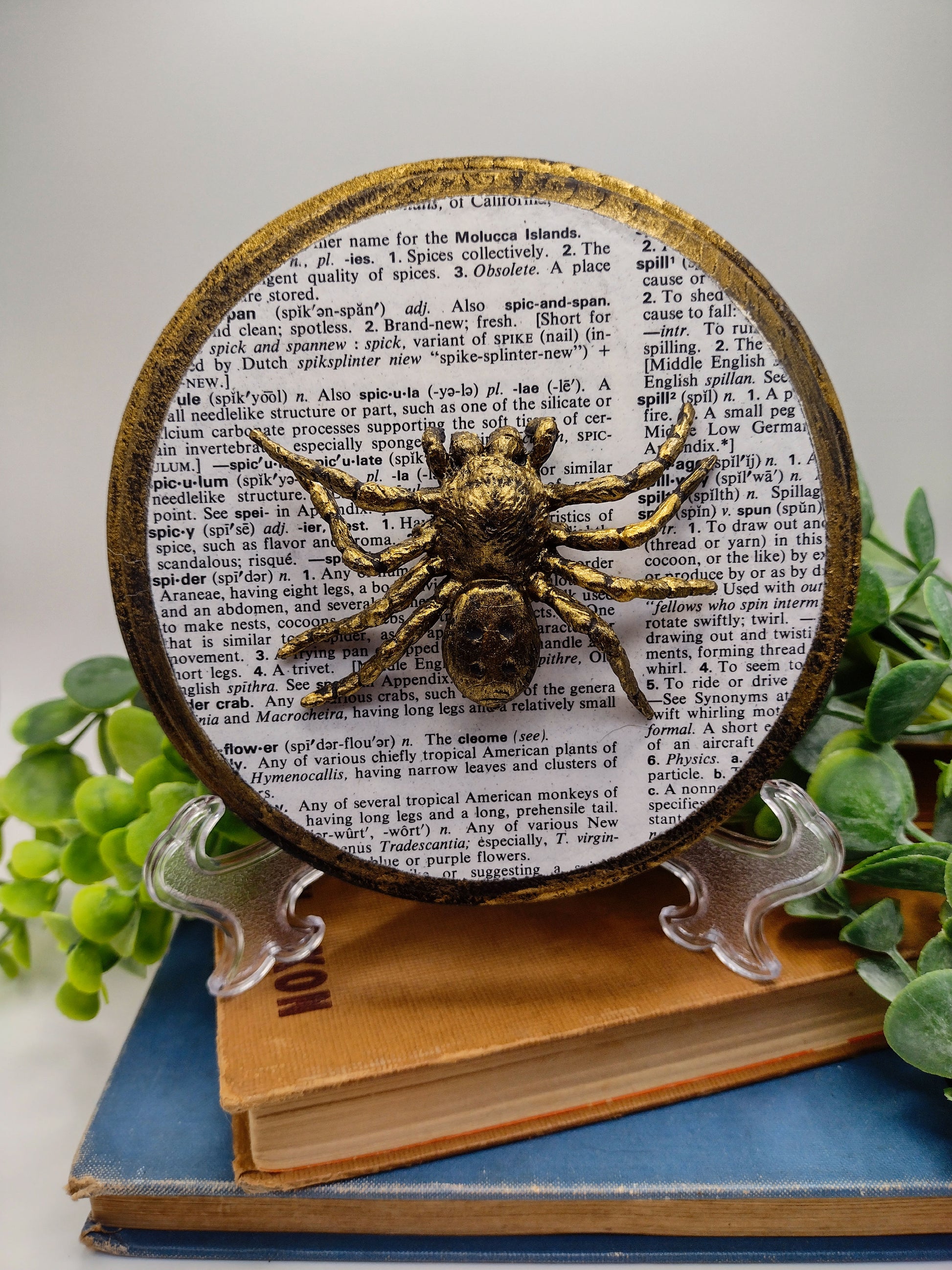 Faux Spider on distressed wood  image 0