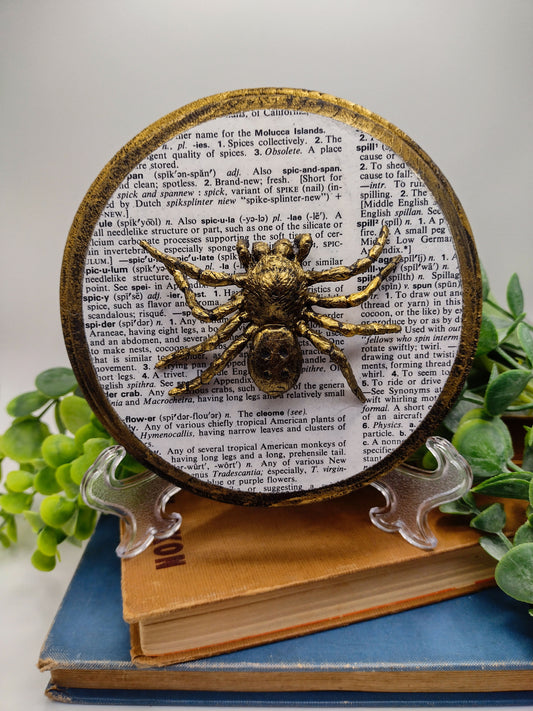 Faux Spider on distressed wood  image 0