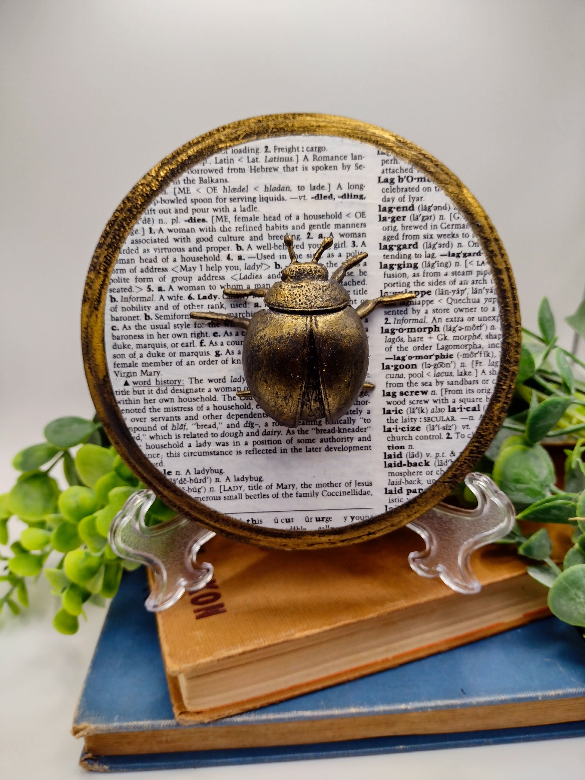 Faux Ladybug on distressed wood  image 0