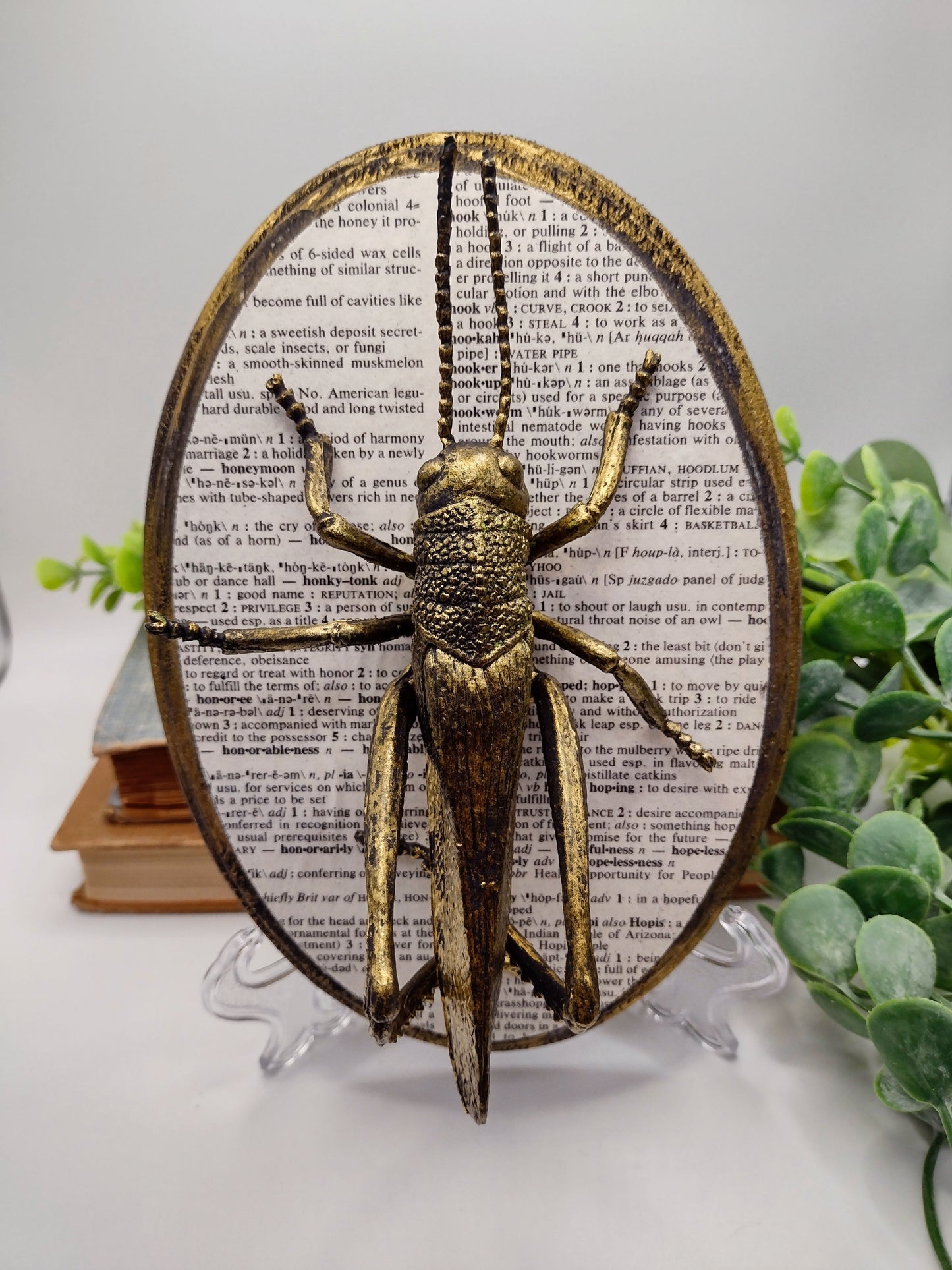 Faux Grasshopper on distressed wood  image 0