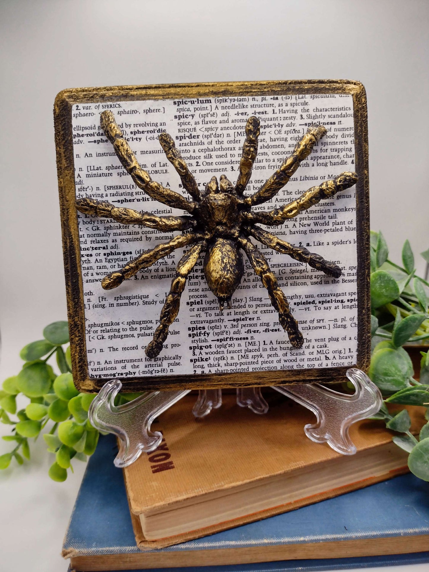 Faux Spider on distressed wood  image 0