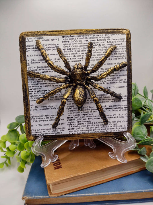 Faux Spider on distressed wood  image 0