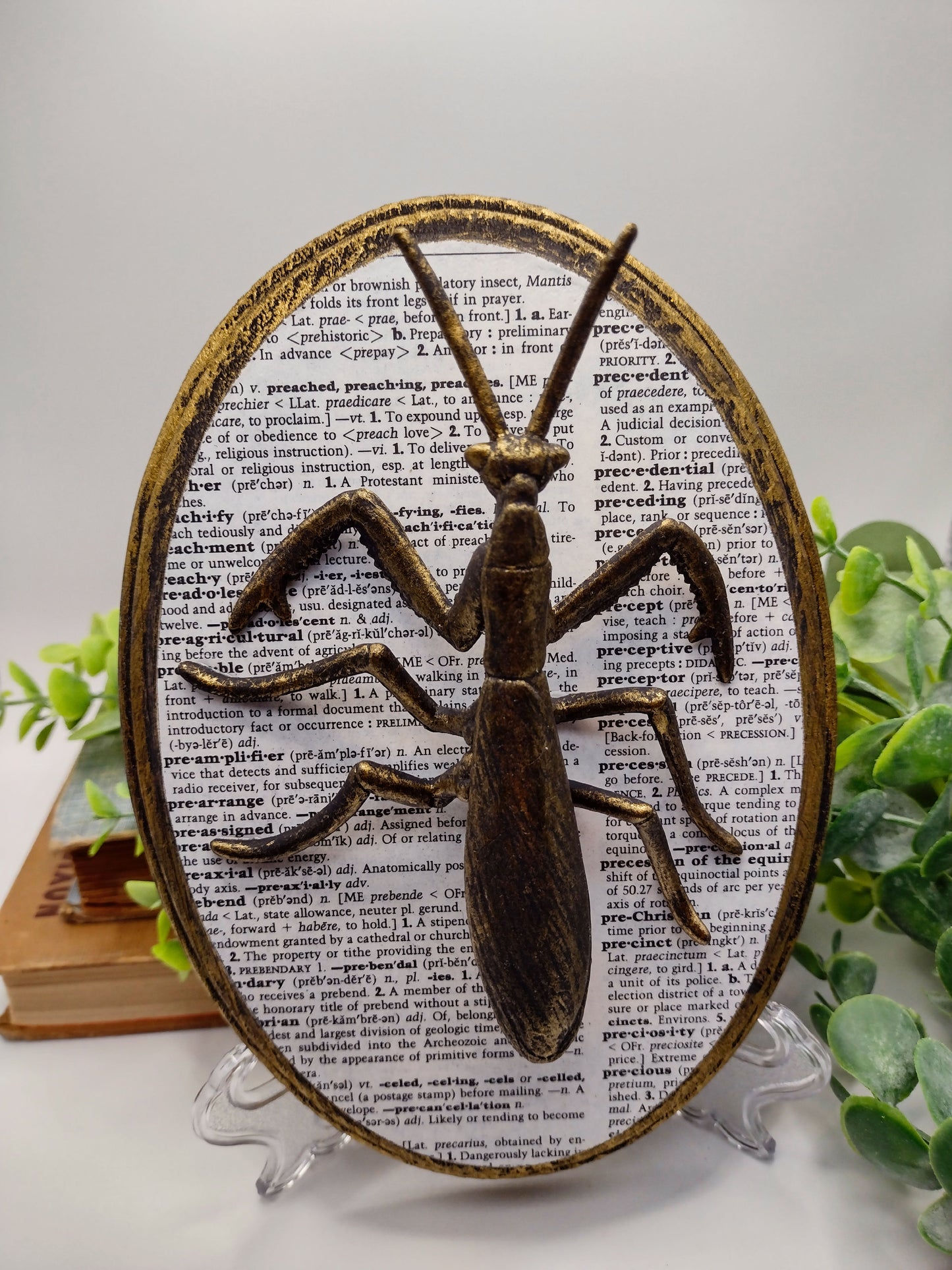 Faux Praying Mantis on distressed wood  image 0